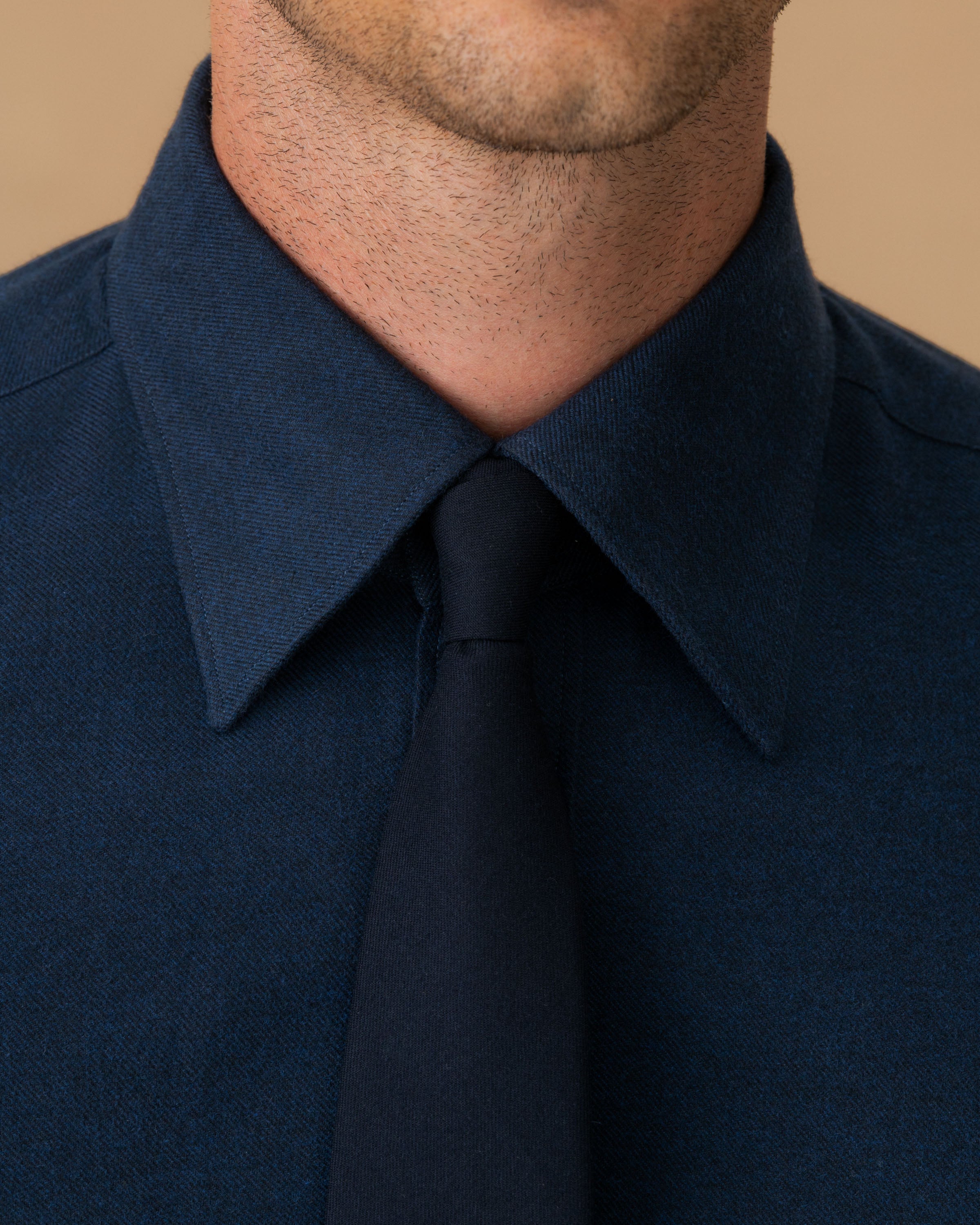 Flannel Point Collar Shirt Navy Collar Model Image