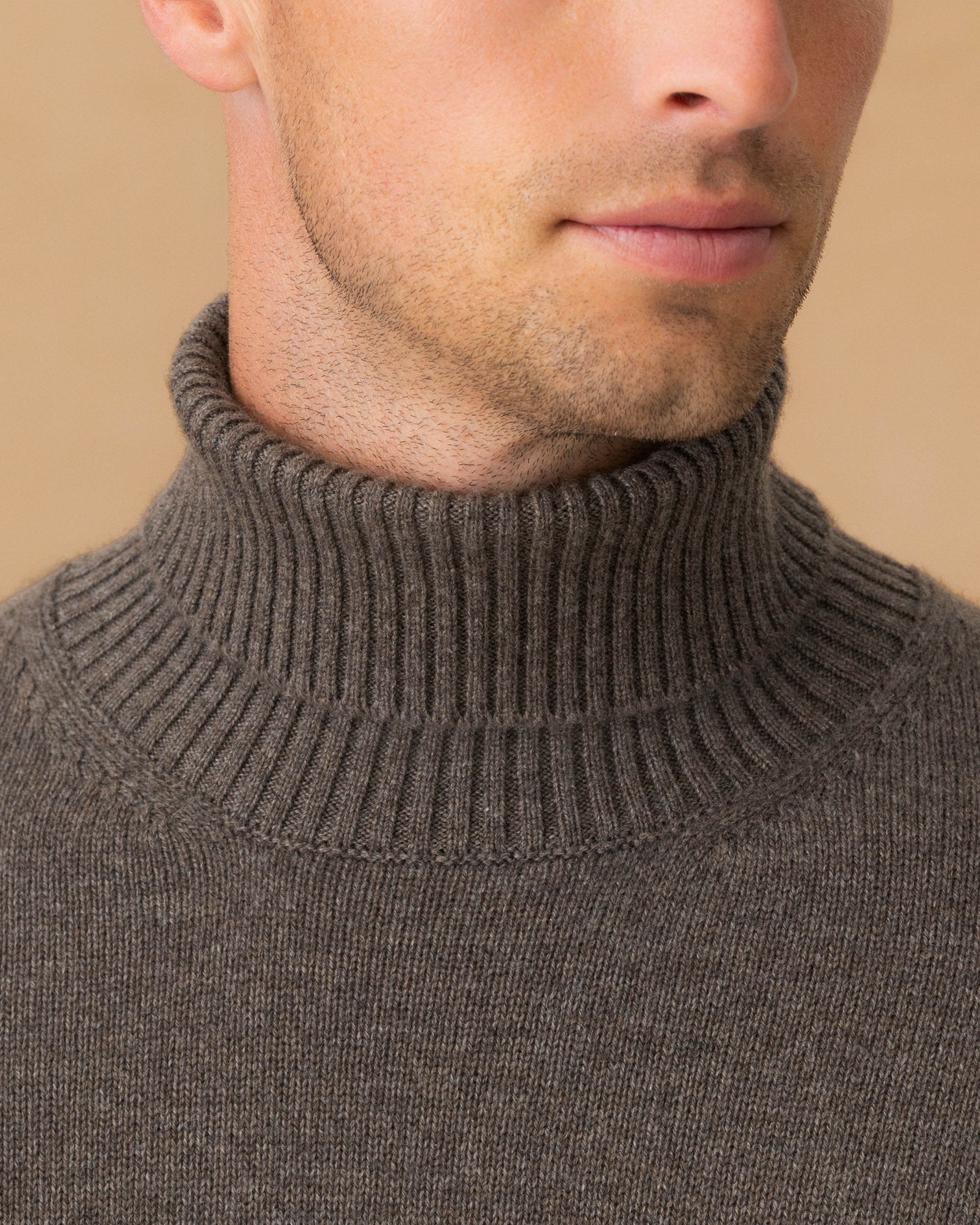 Cashmere Roll Neck Sweater Mid Brown Neck Model Image