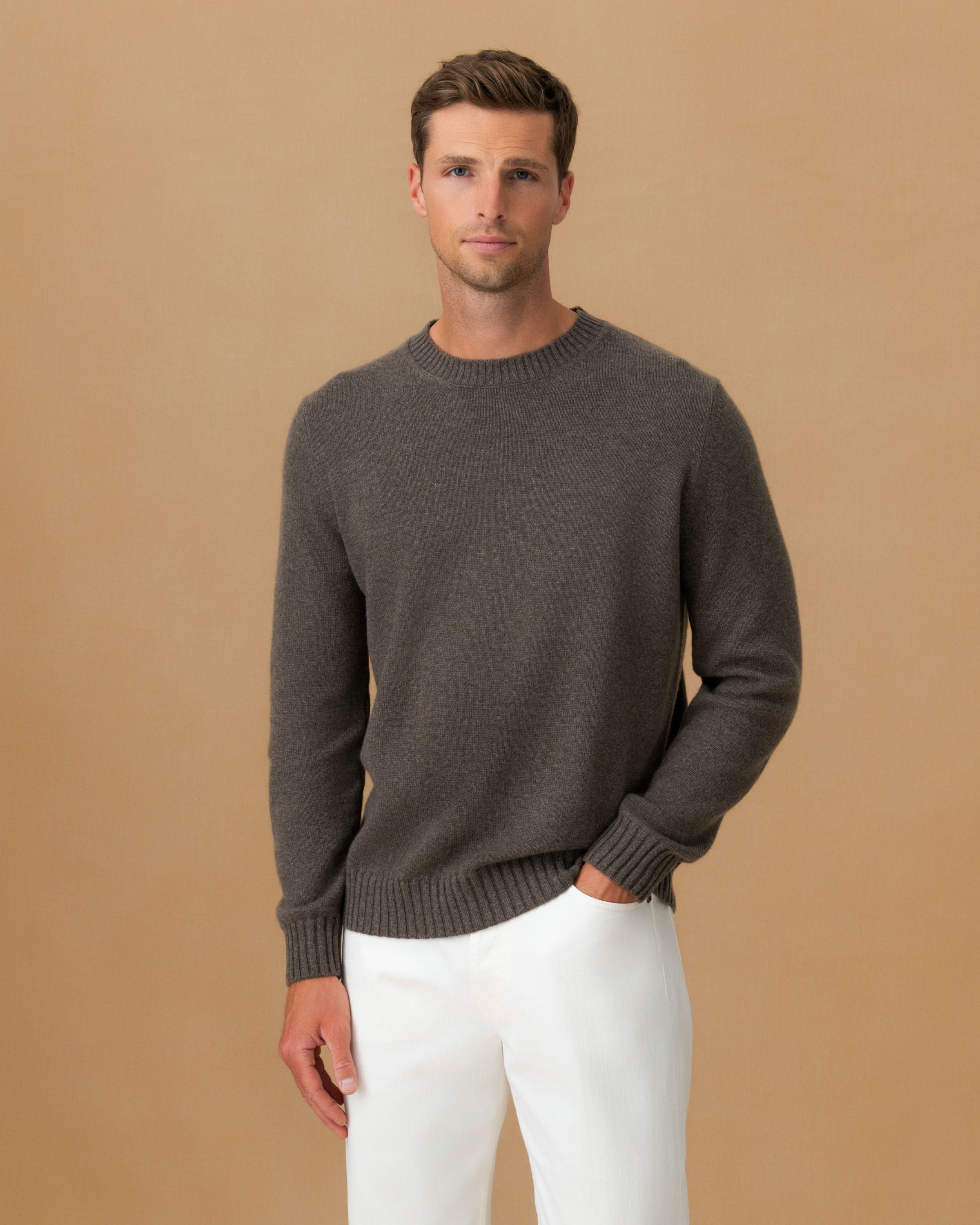 Cashmere Crew Neck Sweater Mid Brown Cropped Model Image