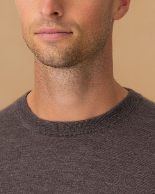 Cashmere Silk Extrafine Crew Neck Sweater Brown Cropped Model Image