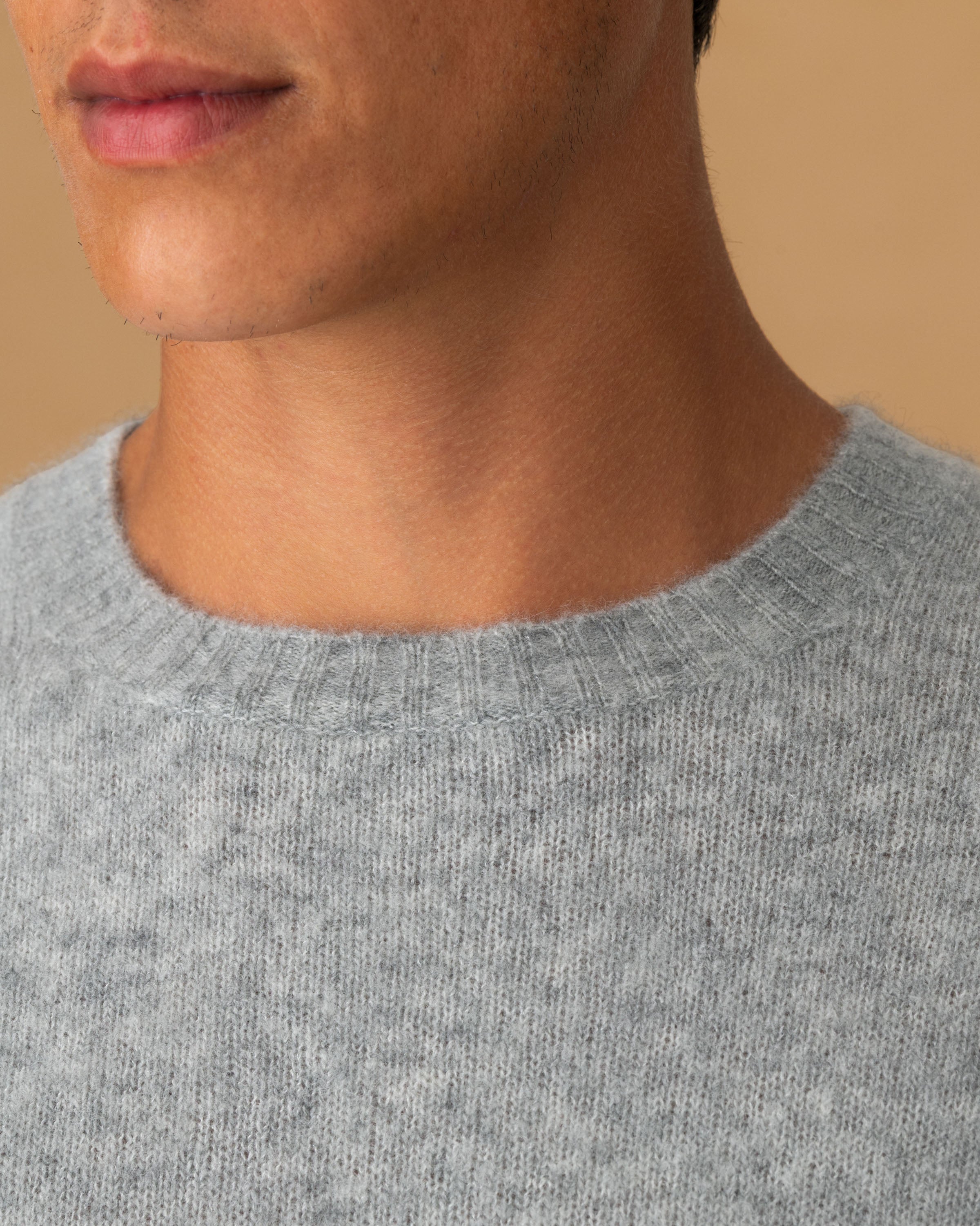 Brushed Cashmere Silk Crew Neck Sweater Light Grey Neck Model Image