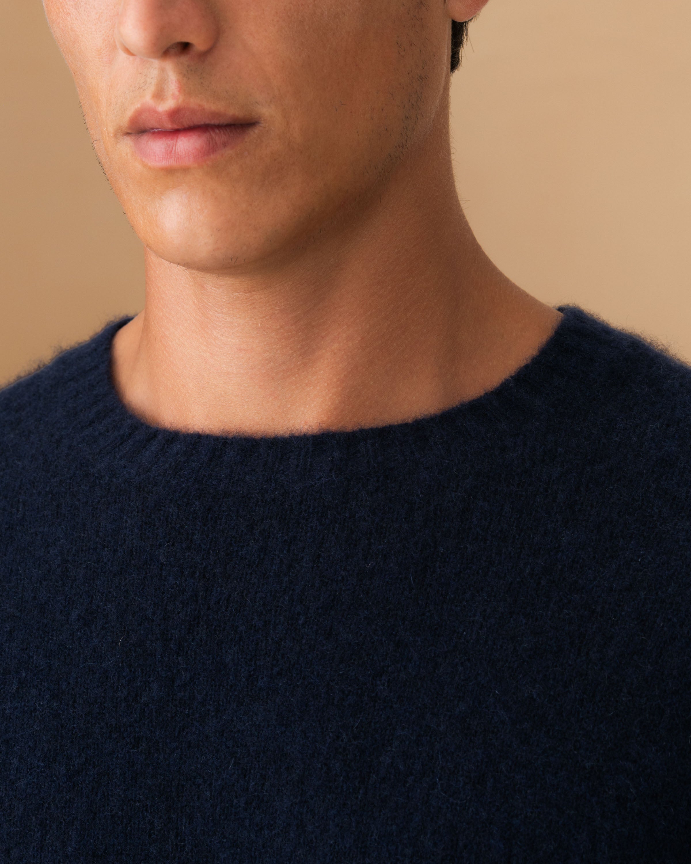 Brushed Cashmere Silk Crew Neck Sweater Navy Neck Model Image