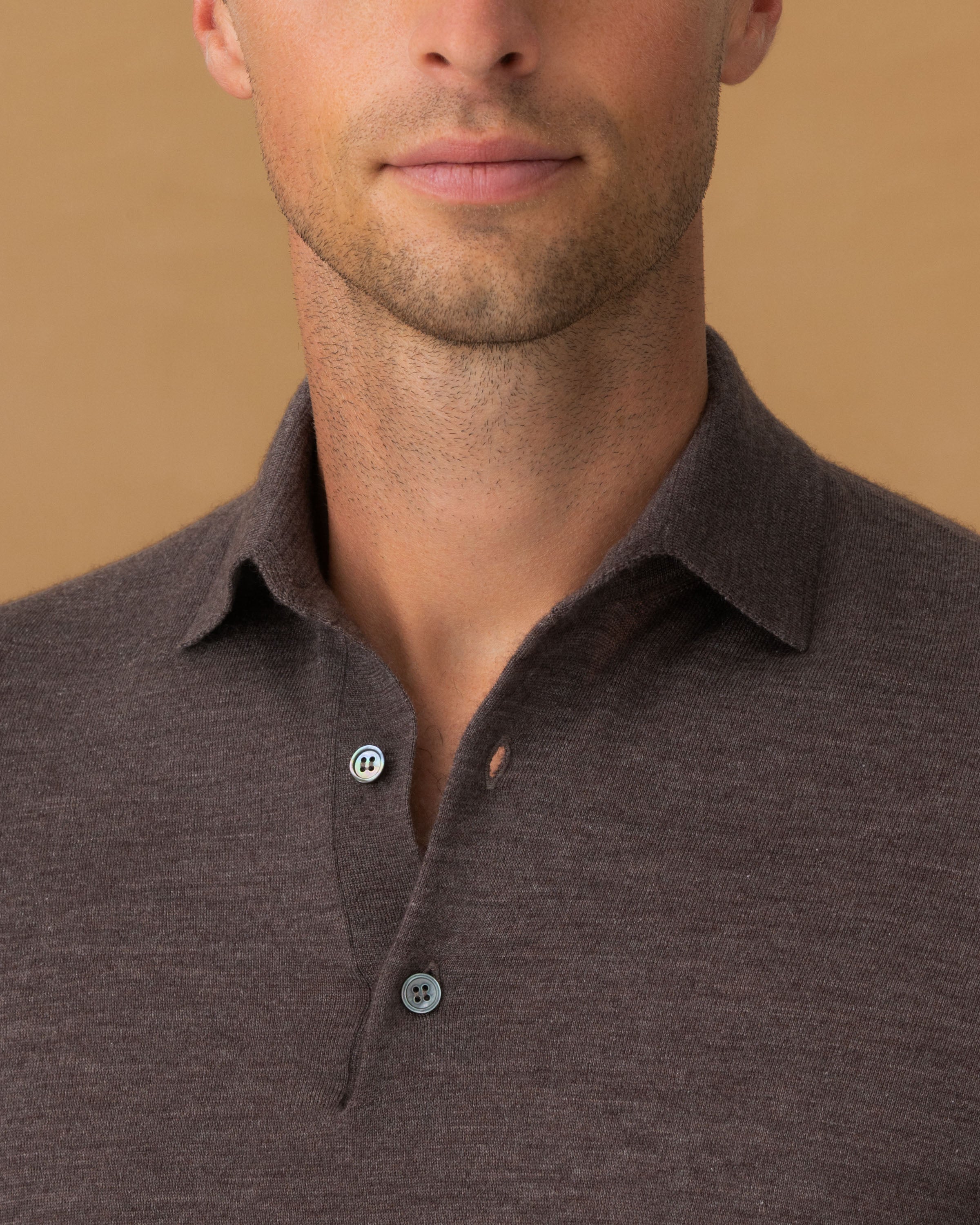 Cashmere Silk Extrafine Long Sleeve Polo Shirt Brown Collar Model Image