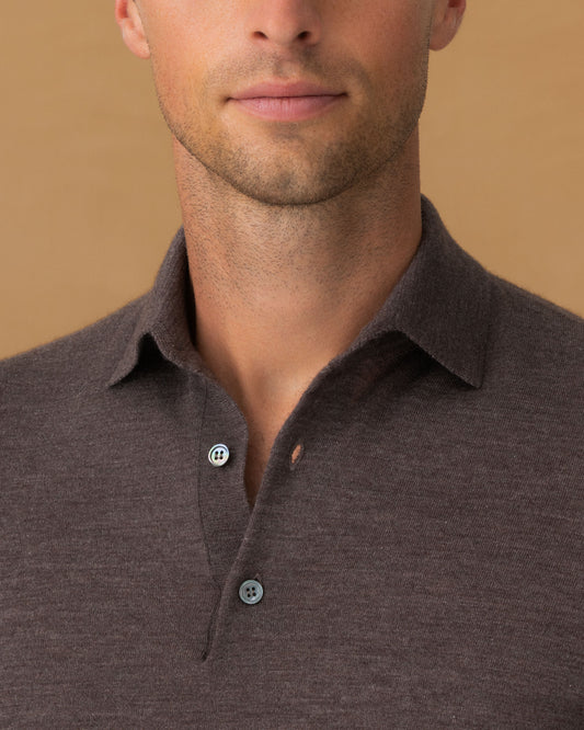 Cashmere Silk Extrafine Long Sleeve Polo Shirt Brown Collar Model Image