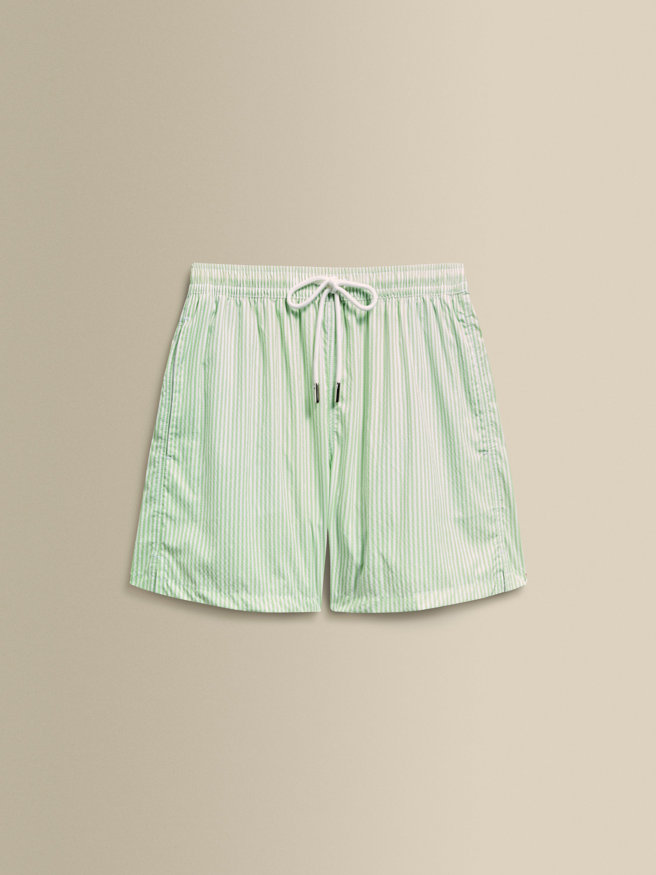 Nylon Mid Length Swim Shorts Green Stripe Product Image