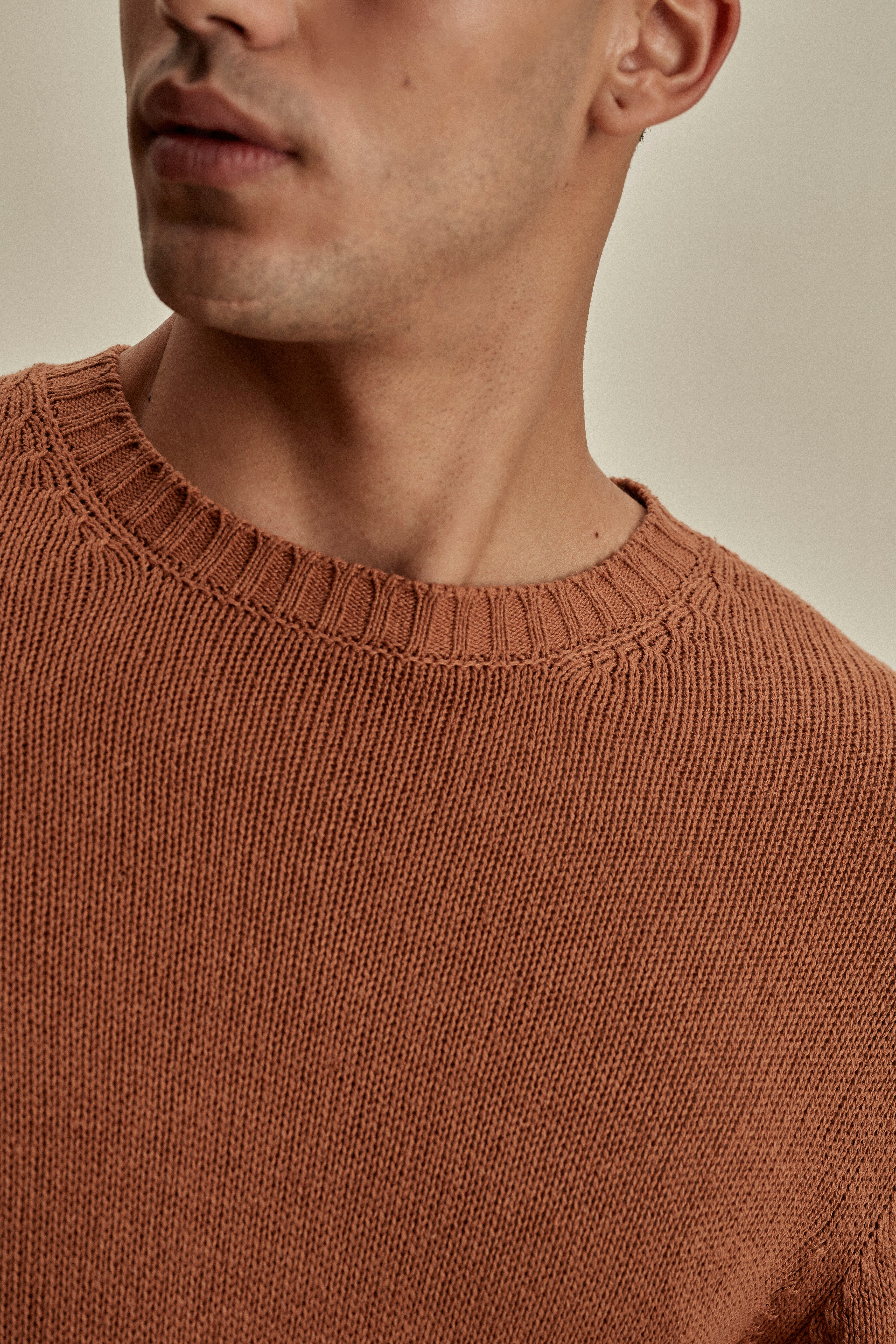 Bourette Silk Wide Gauge Crew Neck Sweater Terracotta Detail Model Image
