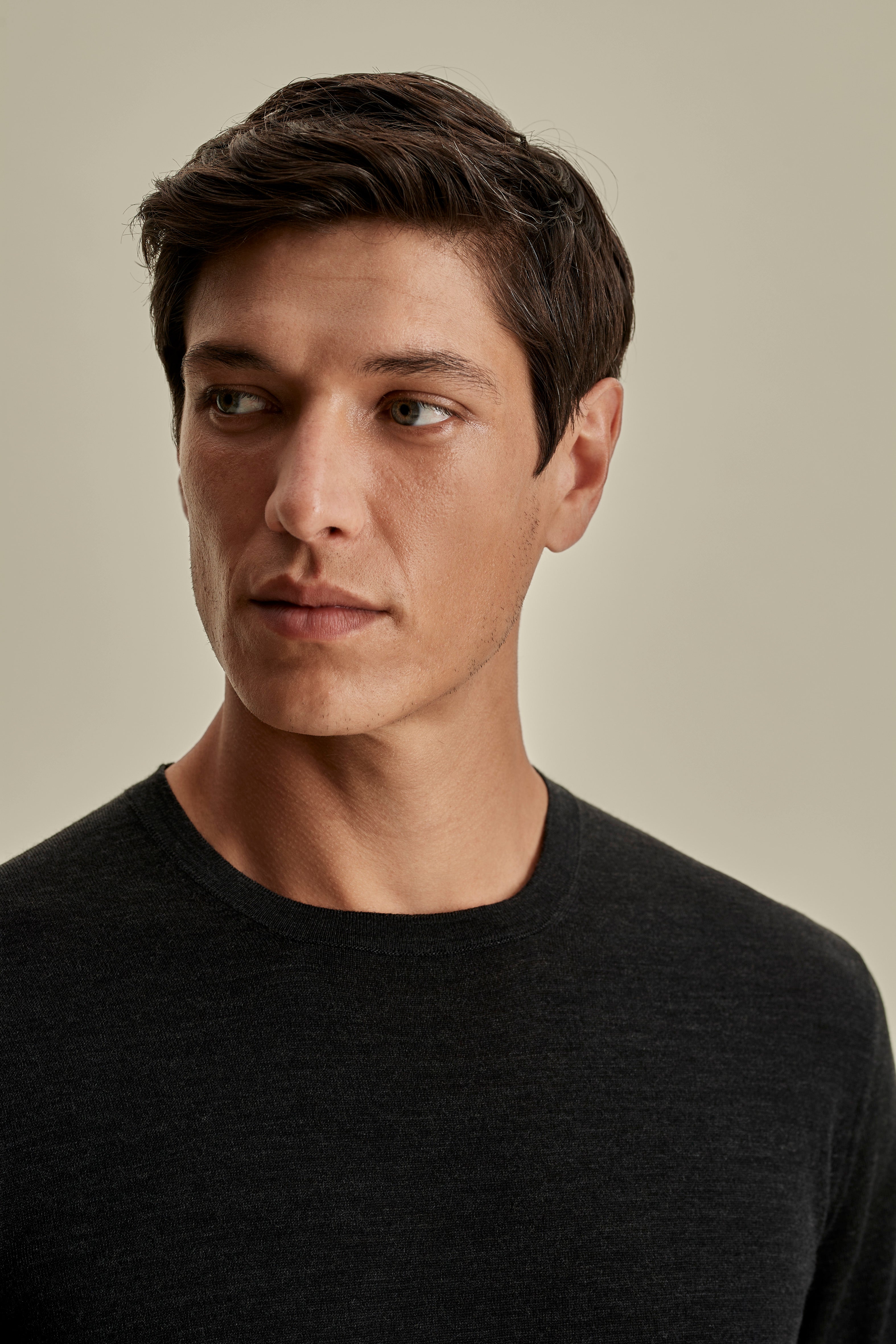 Merino Wool Extrafine Crew Neck Sweater Charcoal Model Neck Image