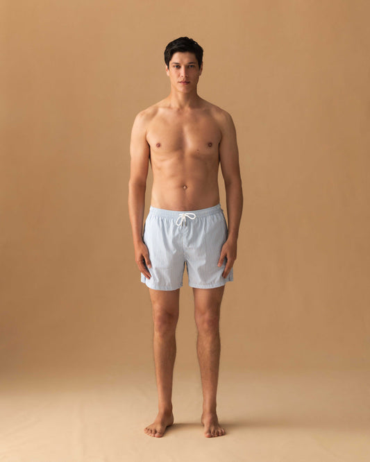 Nylon Mid Length Swim Shorts Navy Stripe Model Image