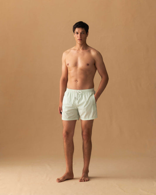 Nylon Mid Length Swim Shorts Green Stripe Model Image