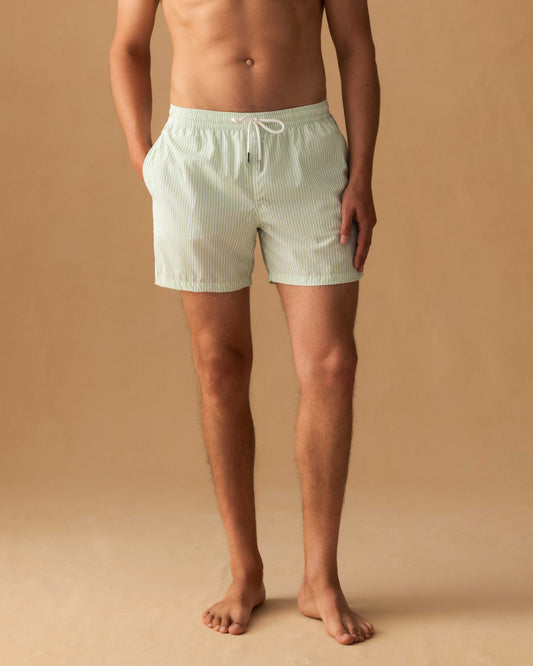 Nylon Mid Length Swim Shorts Green Stripe Cropped Model Image