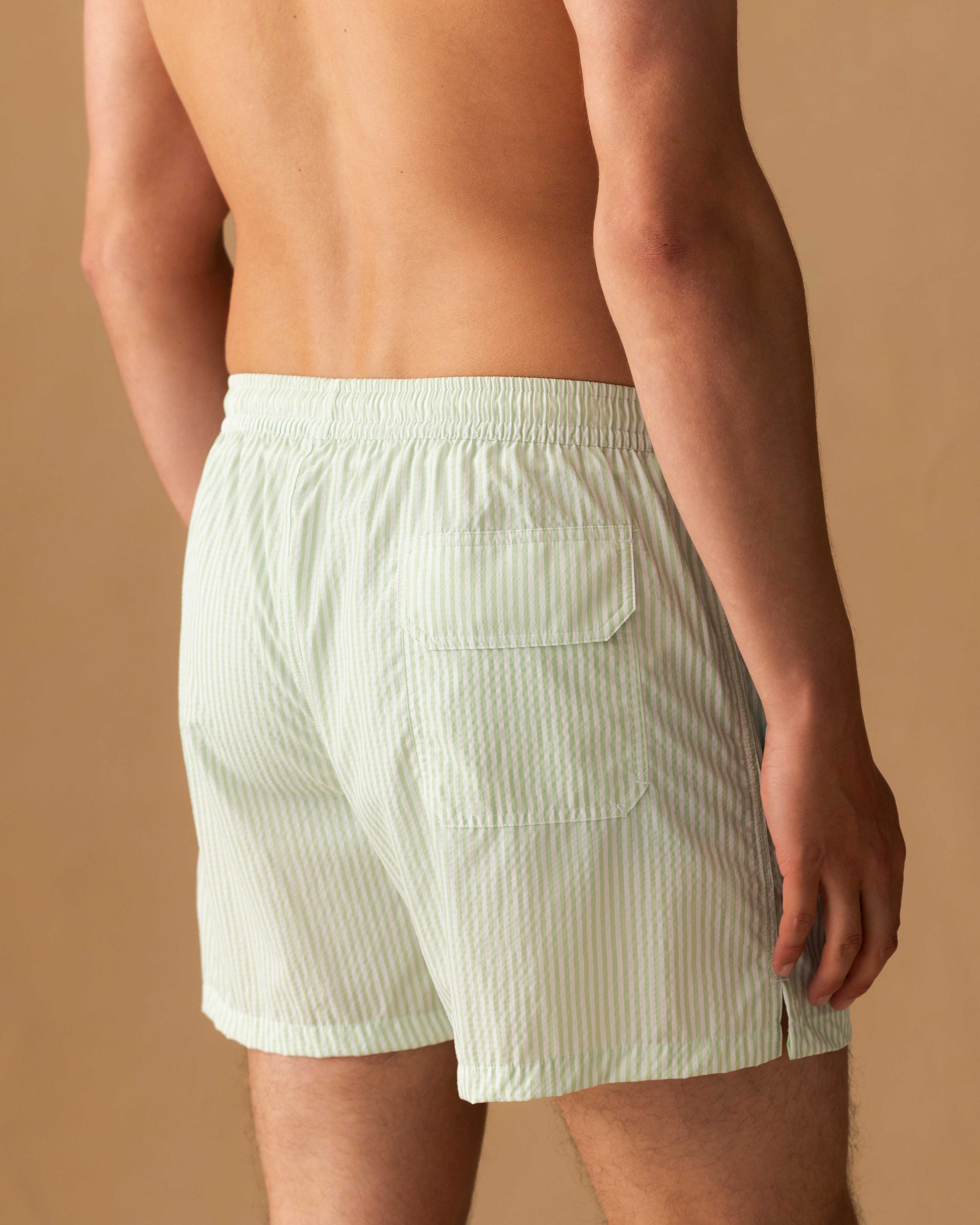 Nylon Mid Length Swim Shorts Green Stripe Back Model Image