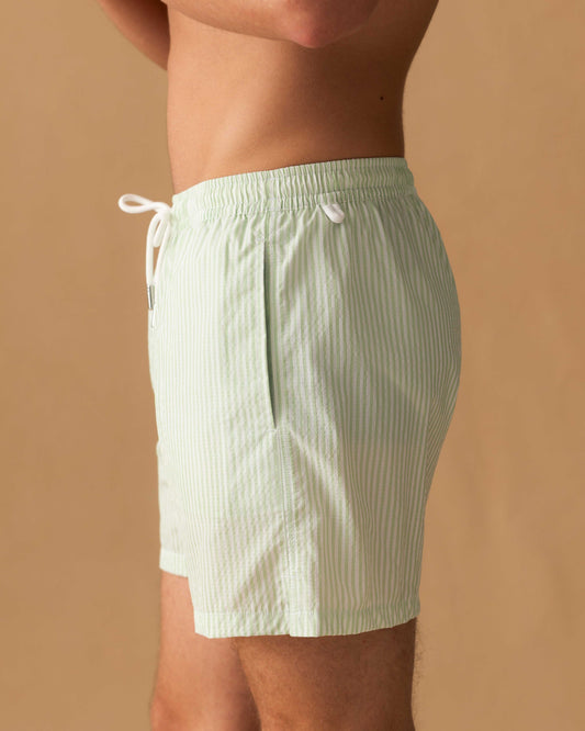 Nylon Mid Length Swim Shorts Green Stripe Side Model Image