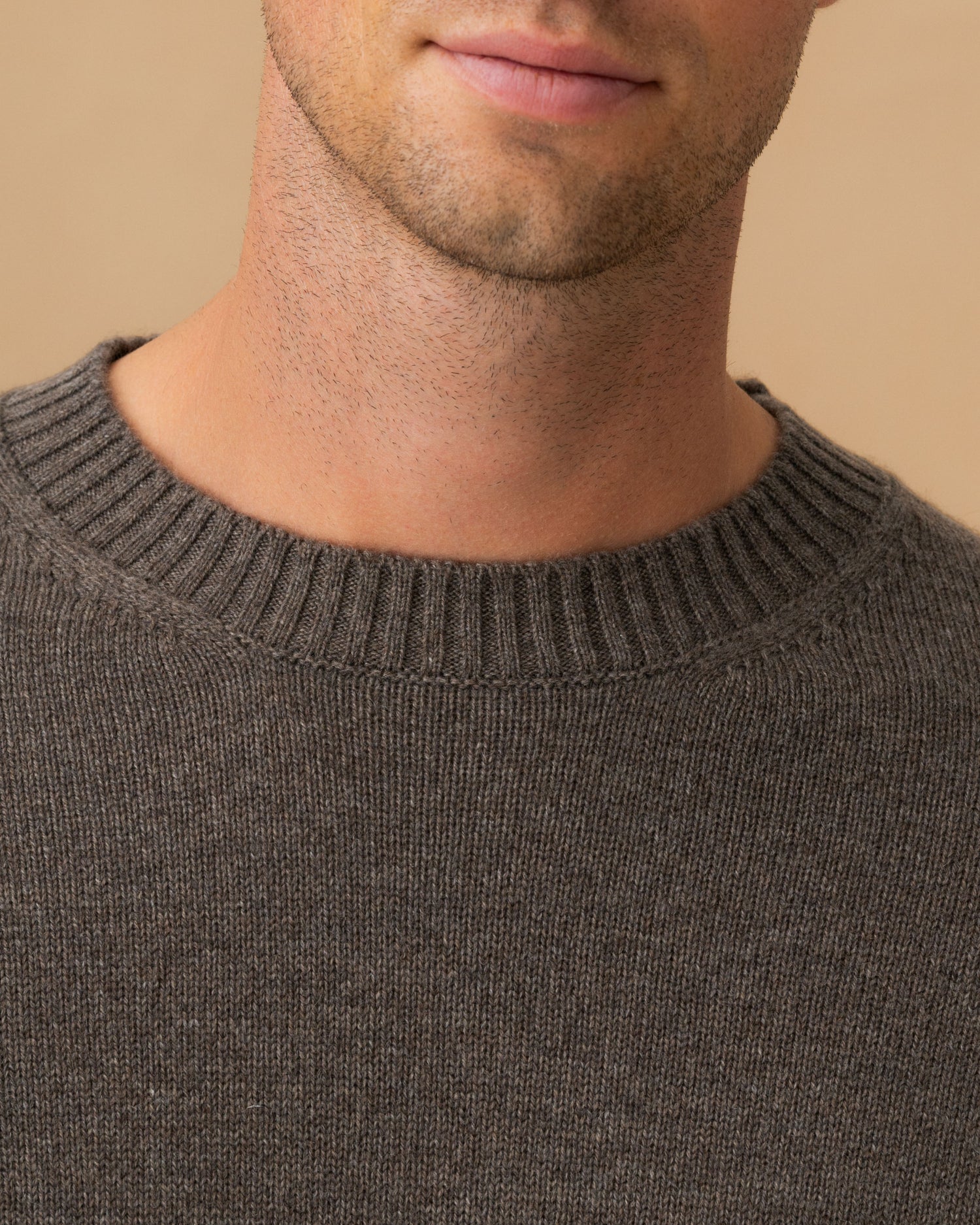 Cashmere Crew Neck Sweater Mid Brown Neck Model Image