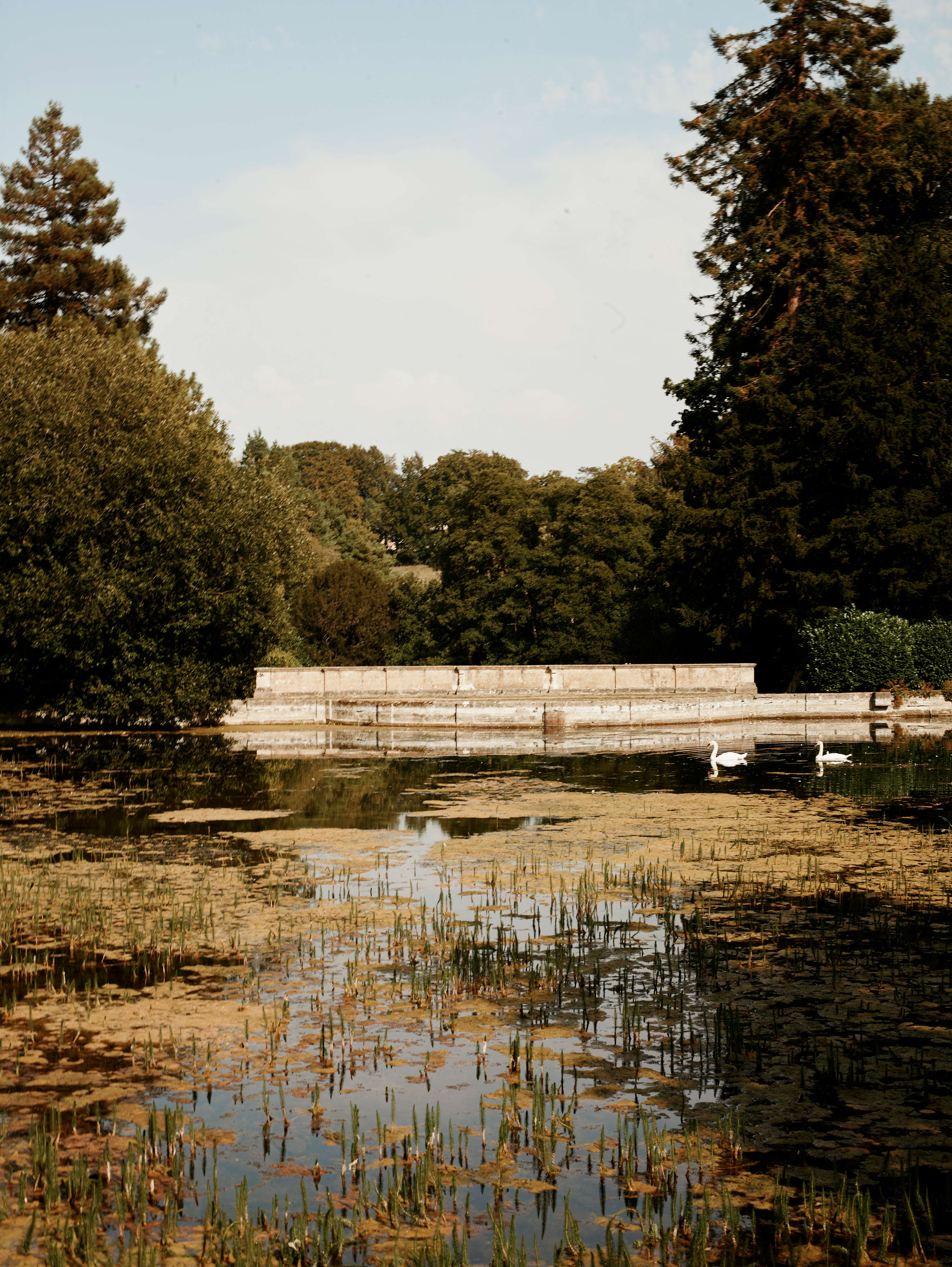 Autumn Winter Campaign Landscape Image 