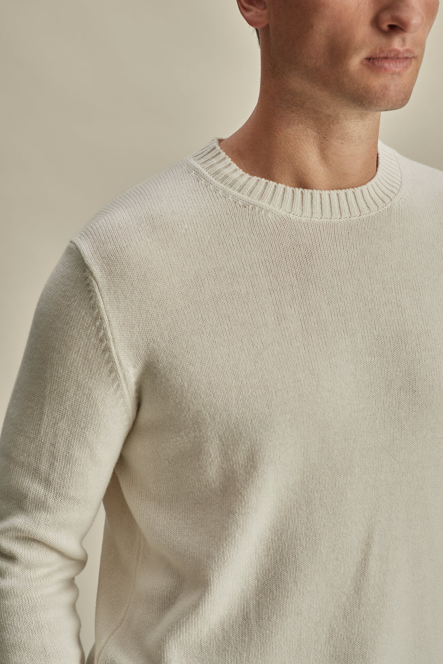 Cashmere Crew Neck Sweater Off White Model Neck Image