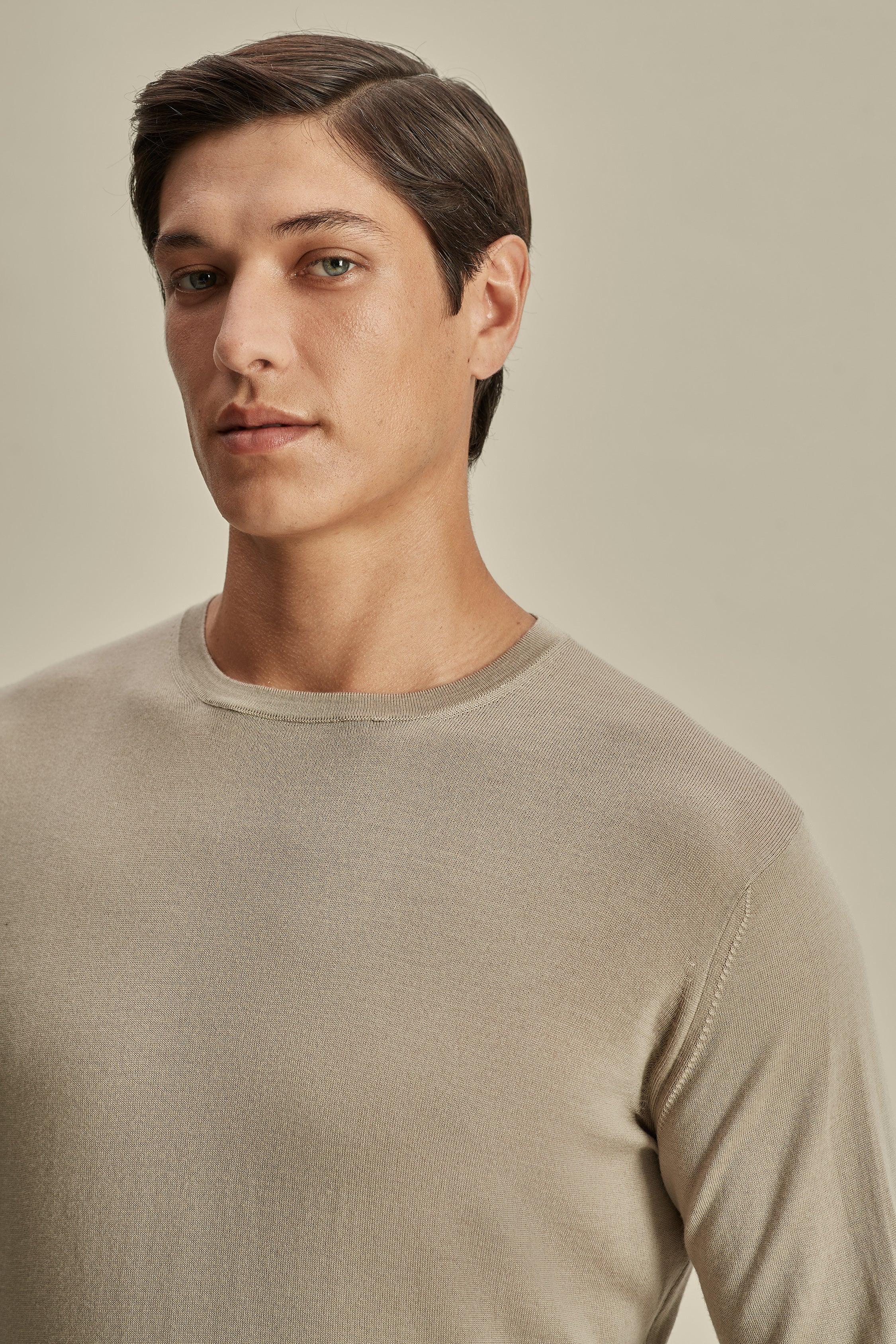 Merino Wool Extrafine Crew Neck Sweater Taupe Model Neck Image