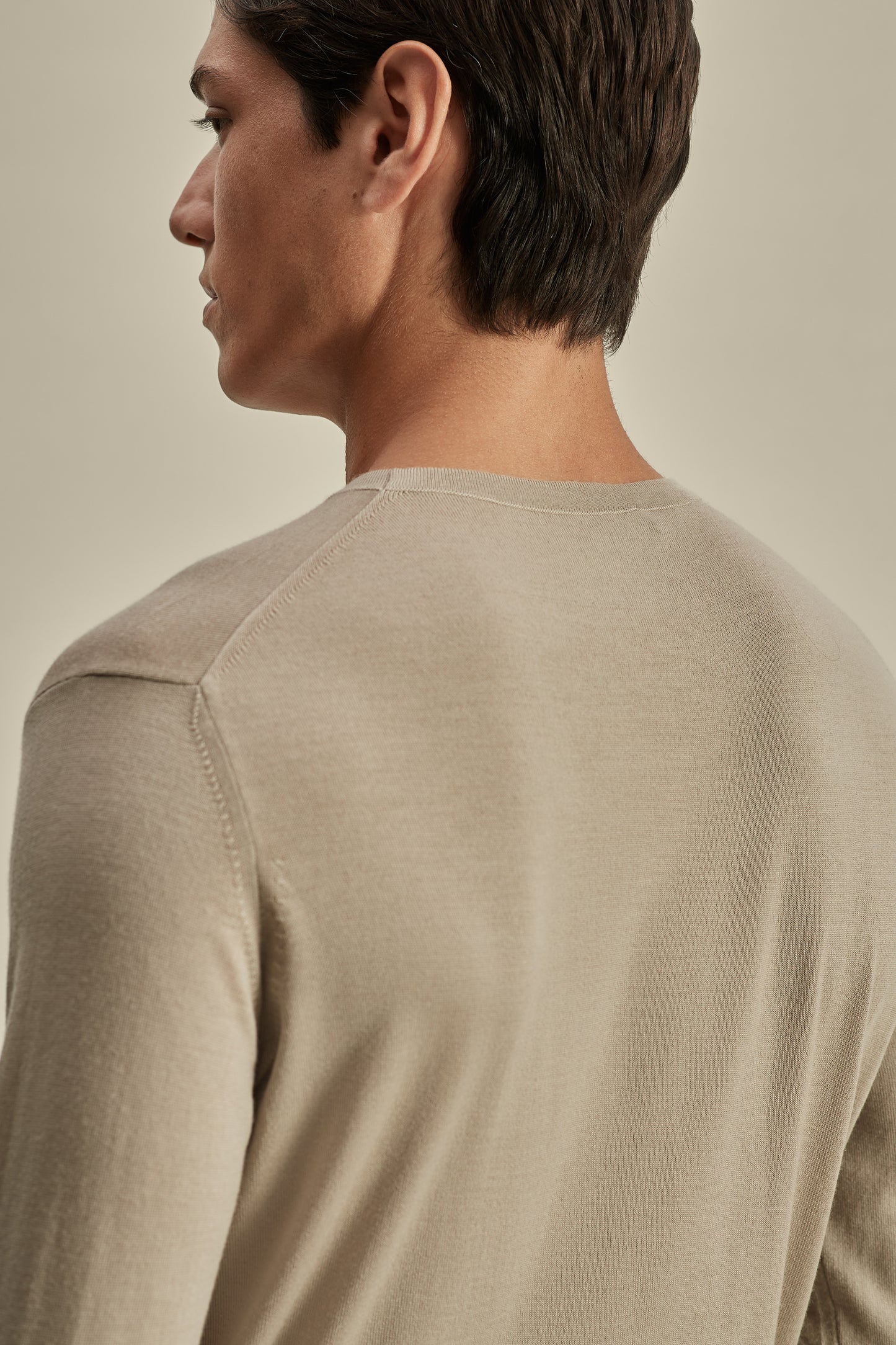 Merino Wool Extrafine Crew Neck Sweater Taupe Model Back Image