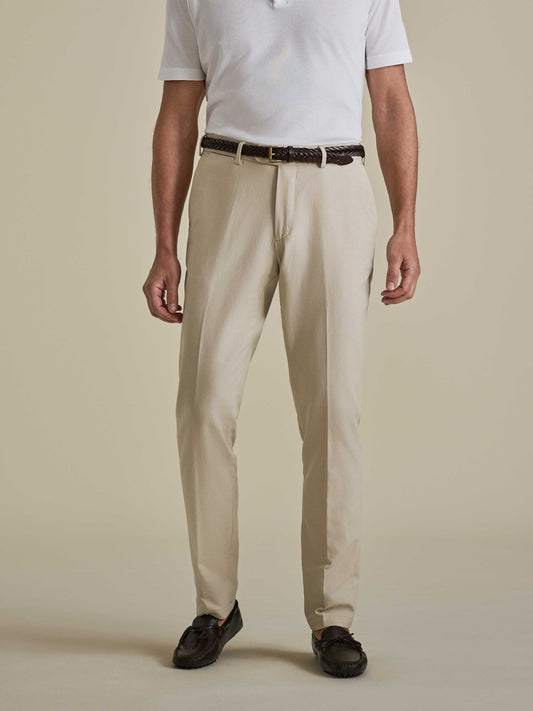 Cotton Easy Fit Flat Front Chinos Beige Model Cropped Image