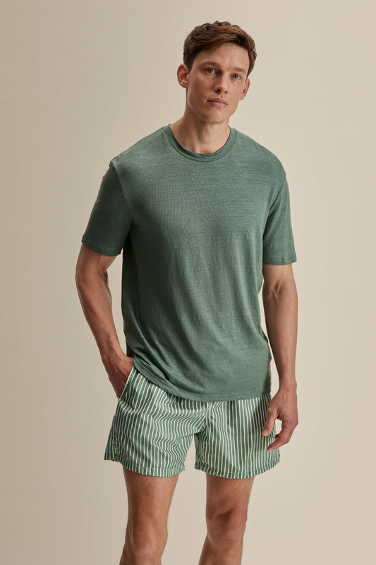 Nylon Mid Length Swim Shorts Green Stripe Model Crop Image
