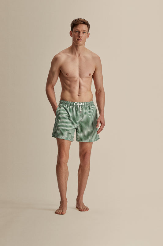 Nylon Mid Length Swim Shorts Green Stripe Model Full Length Image