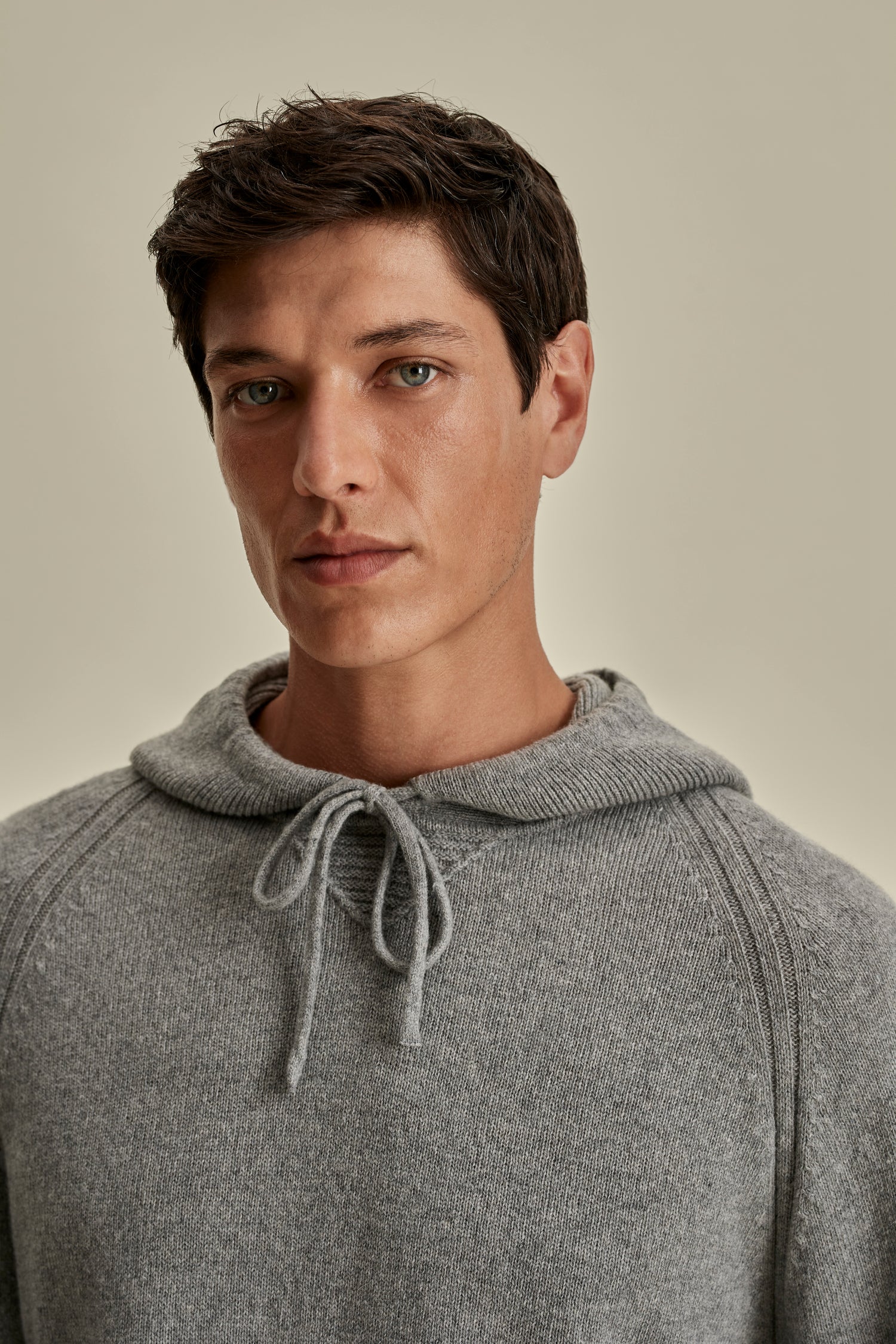 Cashmere Pullover Hoodie Grey Model Neck Image