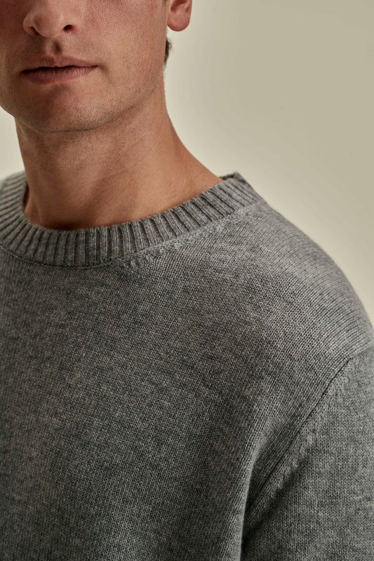 Cashmere Crew Neck Sweater Grey Model Neck Image