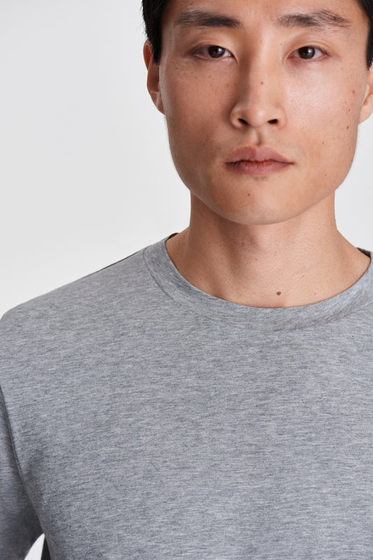 Cotton Classic T-Shirt Grey Model Neck Image