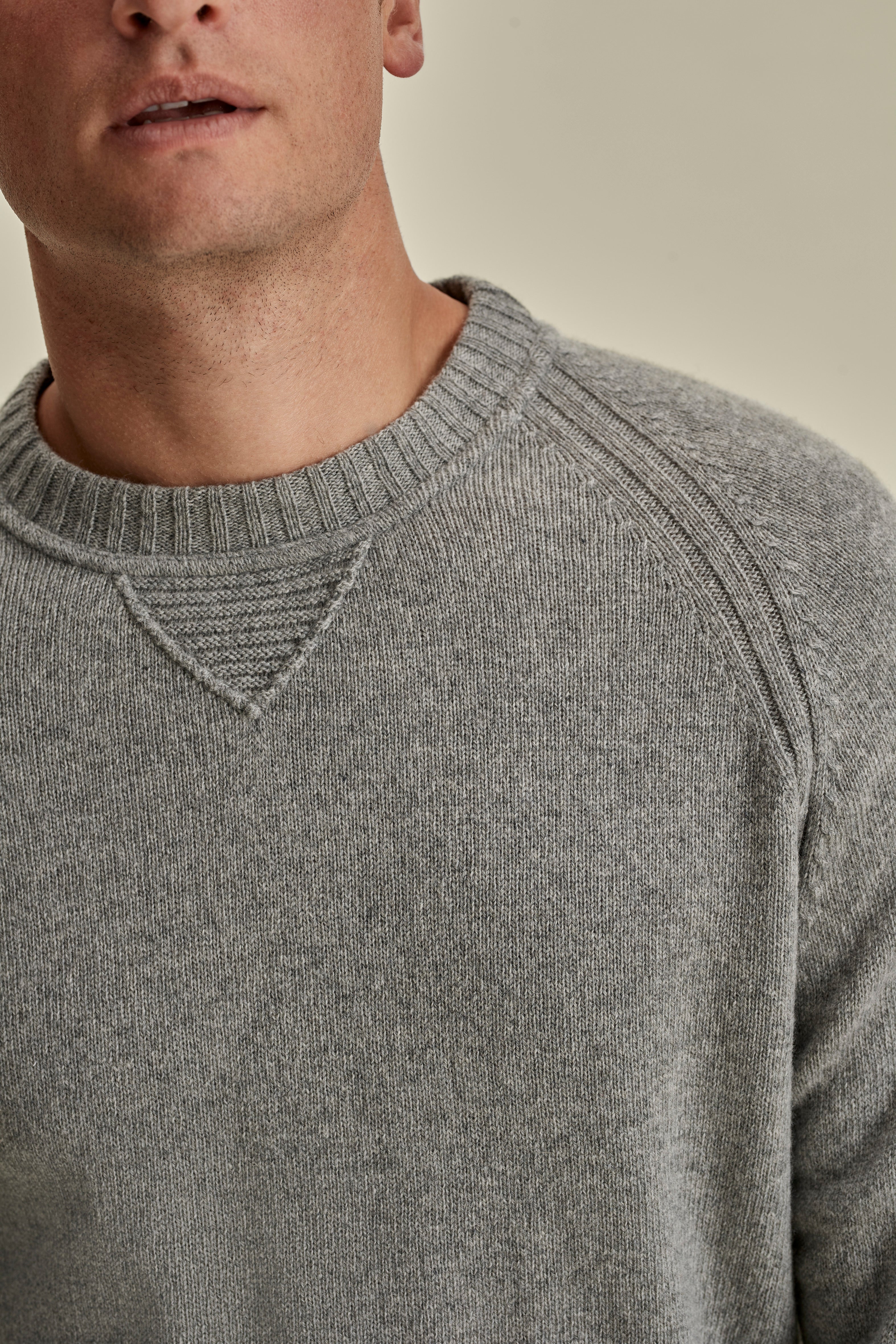 Cashmere Raglan Crew Neck Sweater Grey Model Neck Image