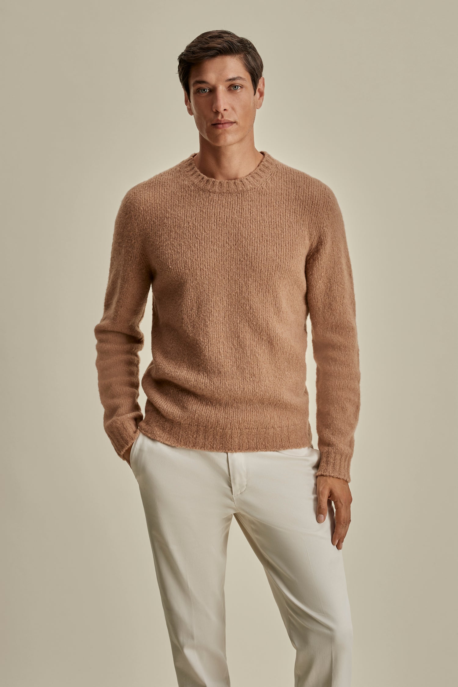 Felted Wool Cashmere Crew Neck Sweater Camel Model Cropped Image