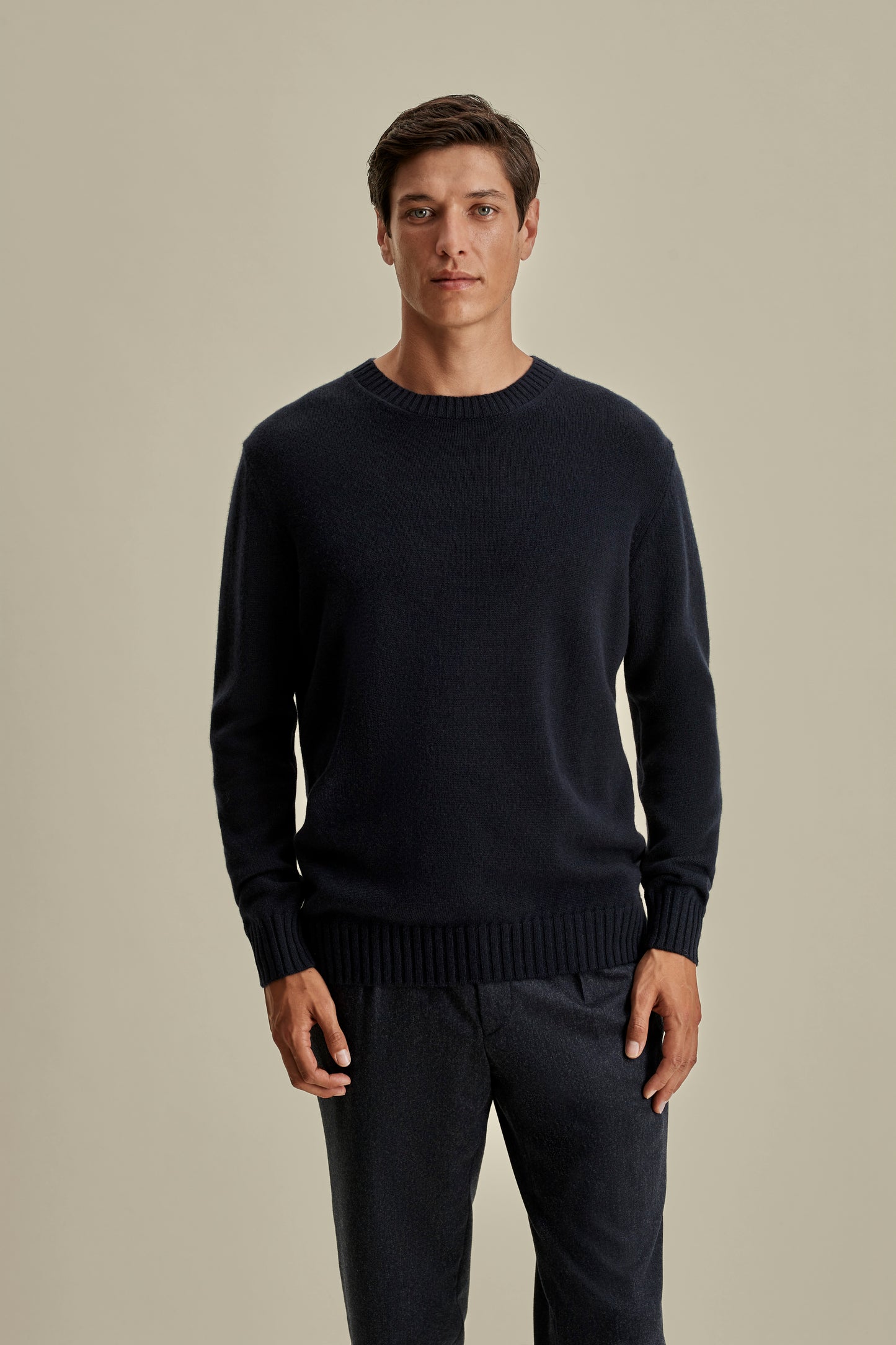 Cashmere Crew Neck Sweater Navy Model Cropped Image